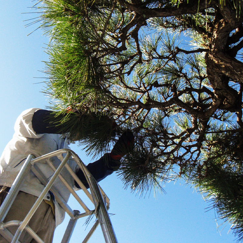 丁寧さとスピードを両立する職人仕事