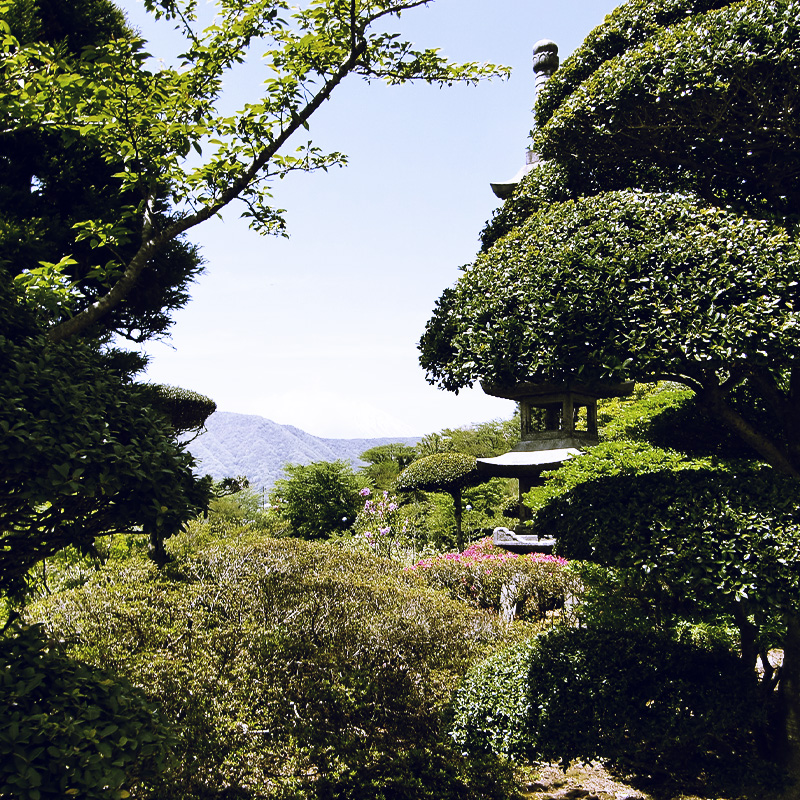 柔軟な打ち合わせで理想の庭を形に