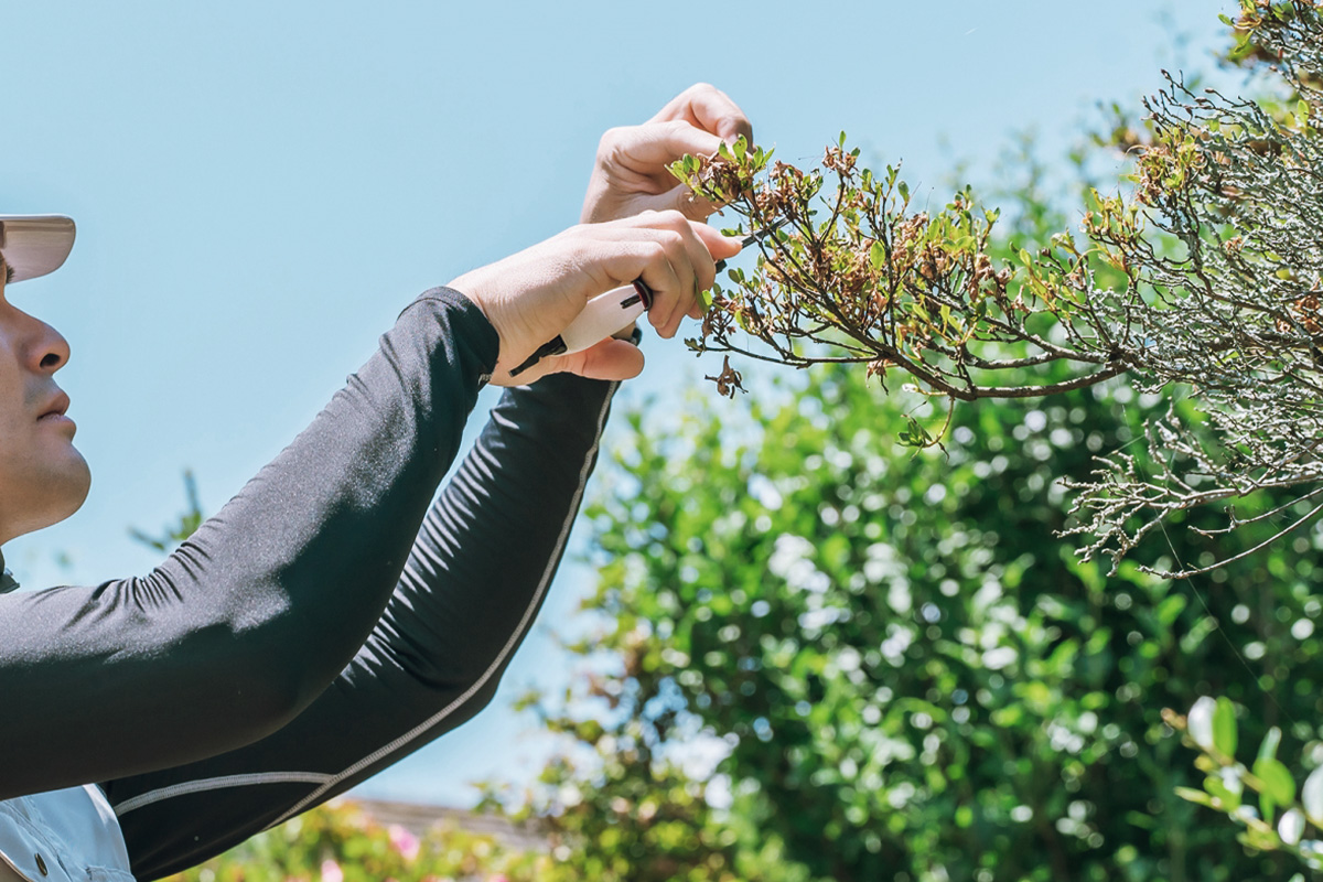 お客様との信頼を大切にしたサービス